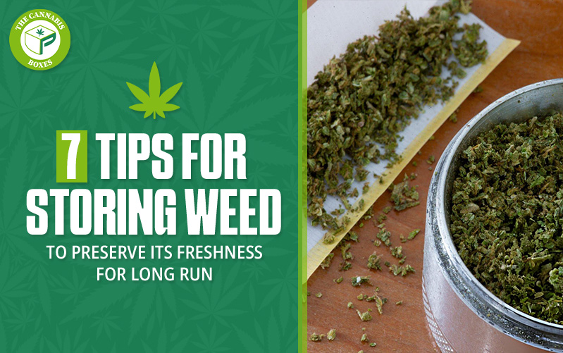 7 Tips for Storing Weed to Preserve its Freshness for the Long Run